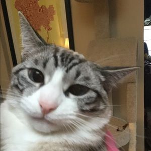 Meet your Posher, Olivia